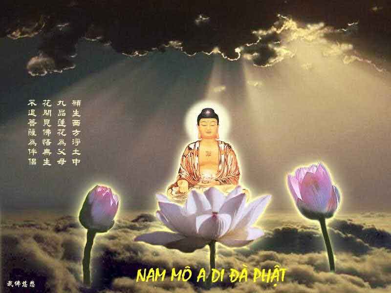 ảnh Chữ Nam Mô A Di Đà Phật 0021