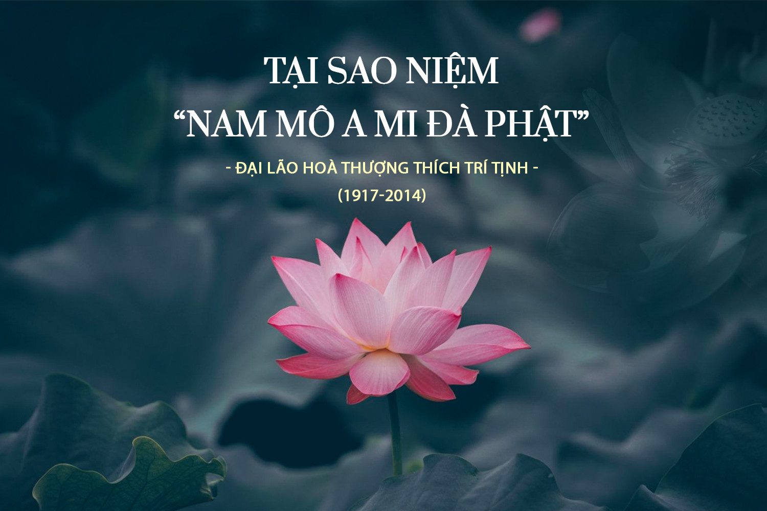 ảnh Chữ Nam Mô A Di Đà Phật 0028