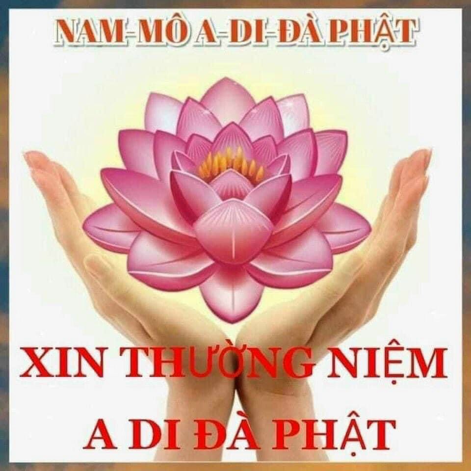 ảnh Chữ Nam Mô A Di Đà Phật 0049