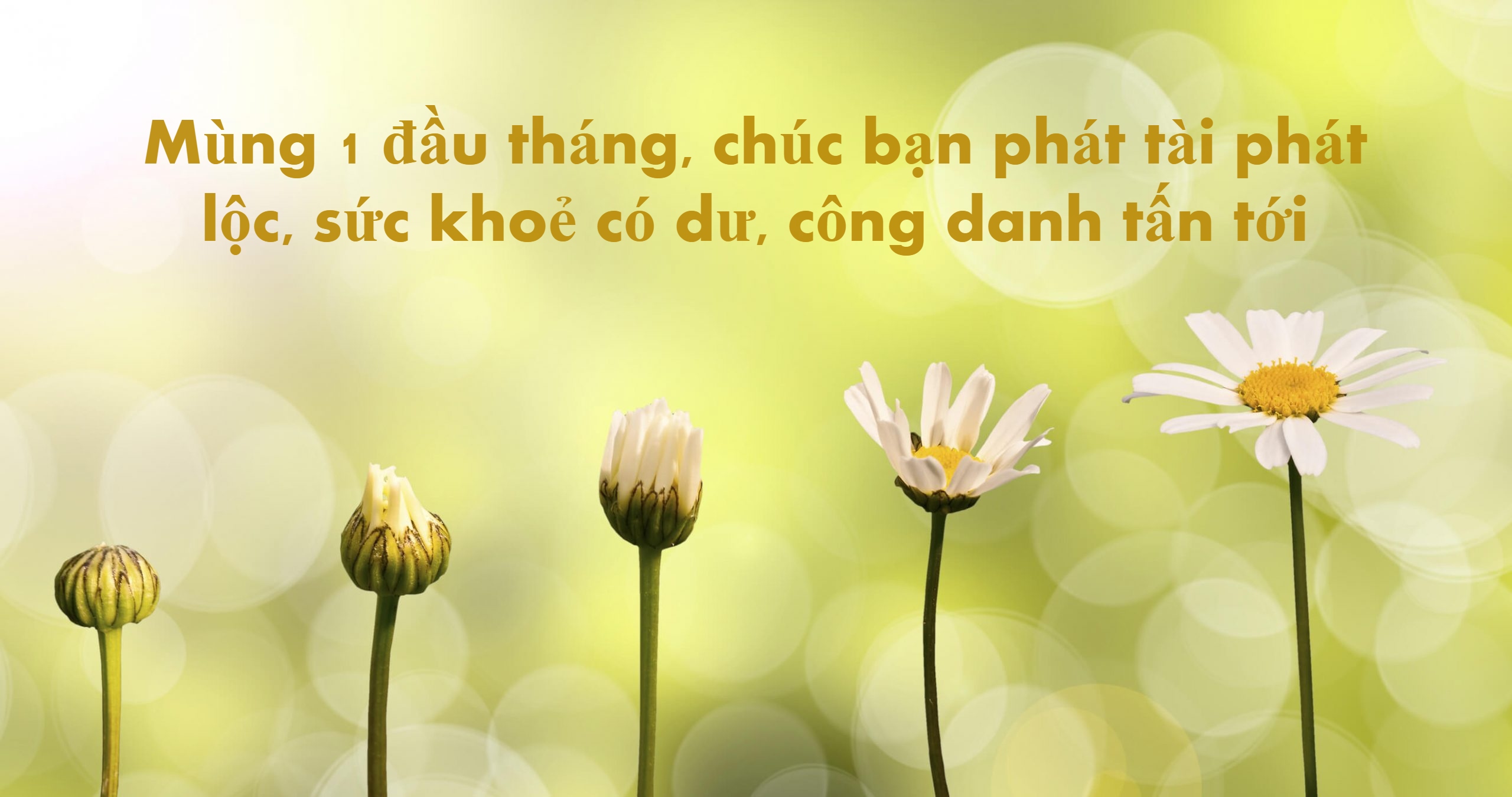 ảnh Phật mùng 1 0060