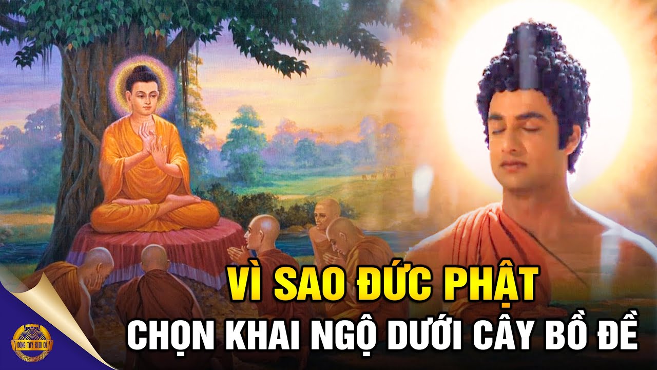 ảnh Phật ngồi dưới gốc cây bồ đề 0052