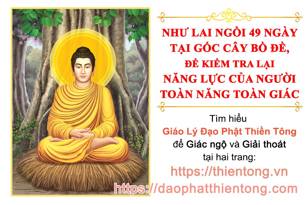 ảnh Phật ngồi thiền 0038