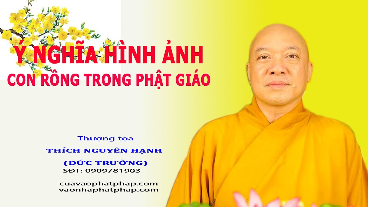 ảnh Phật tử 0082