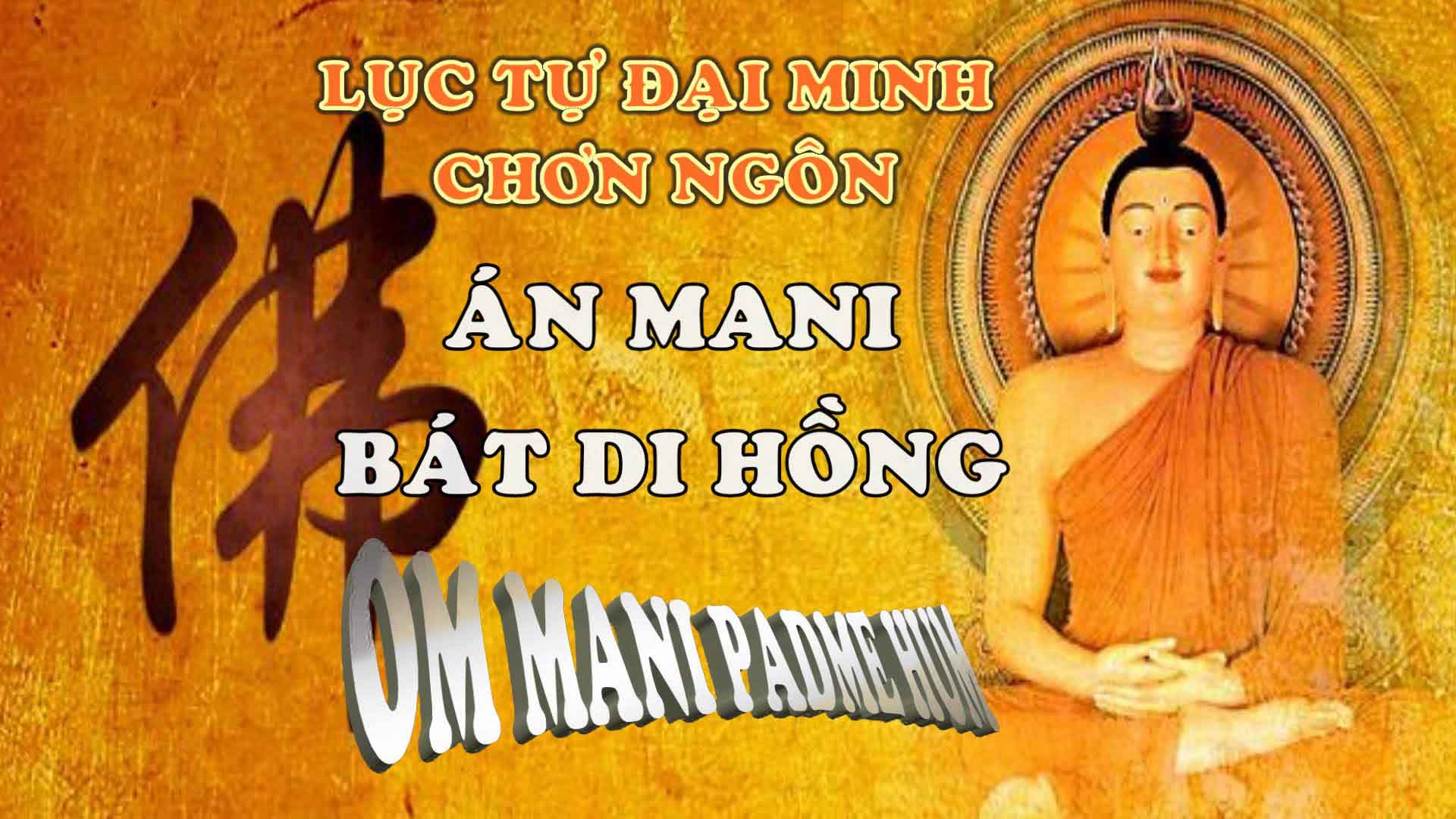 hình ảnh Ăn Chay Niệm Phật 0074