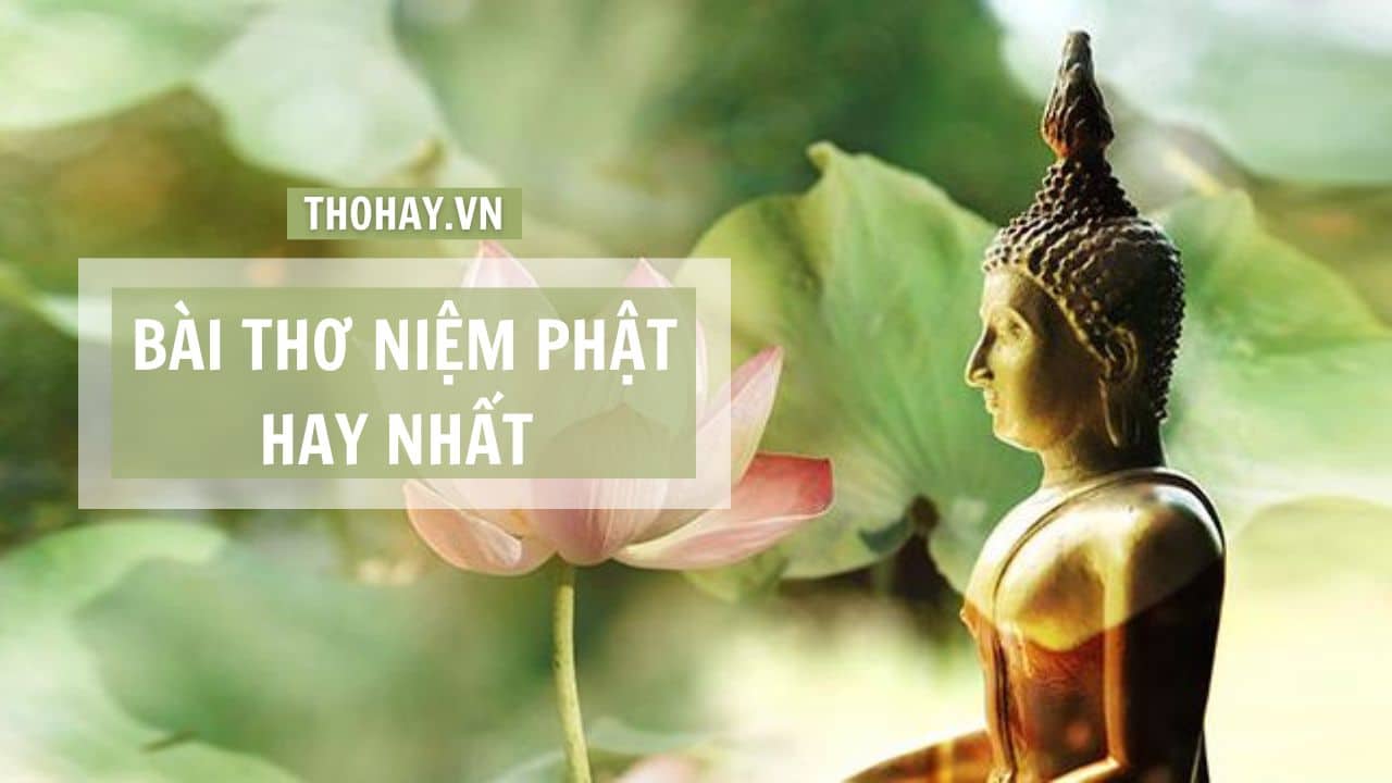 hình ảnh Ăn Chay Niệm Phật 0080