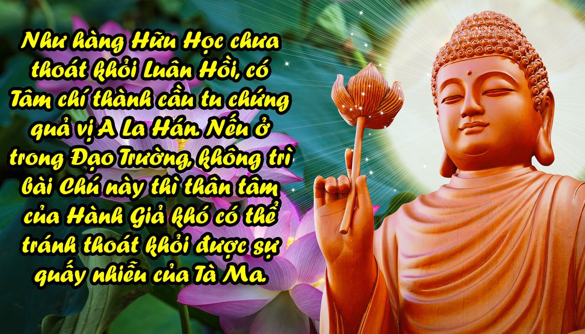 hình ảnh Ăn Chay Niệm Phật 0084