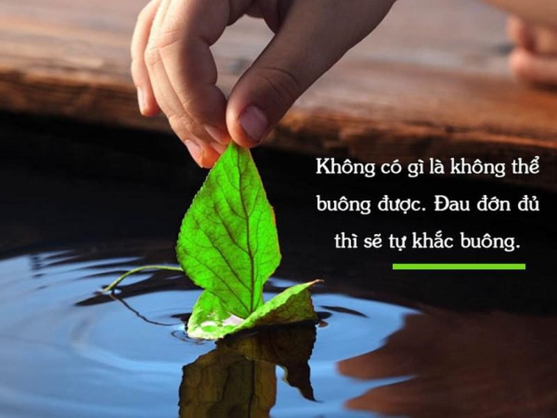 hình ảnh lời Phật dạy về cuộc sống 0013