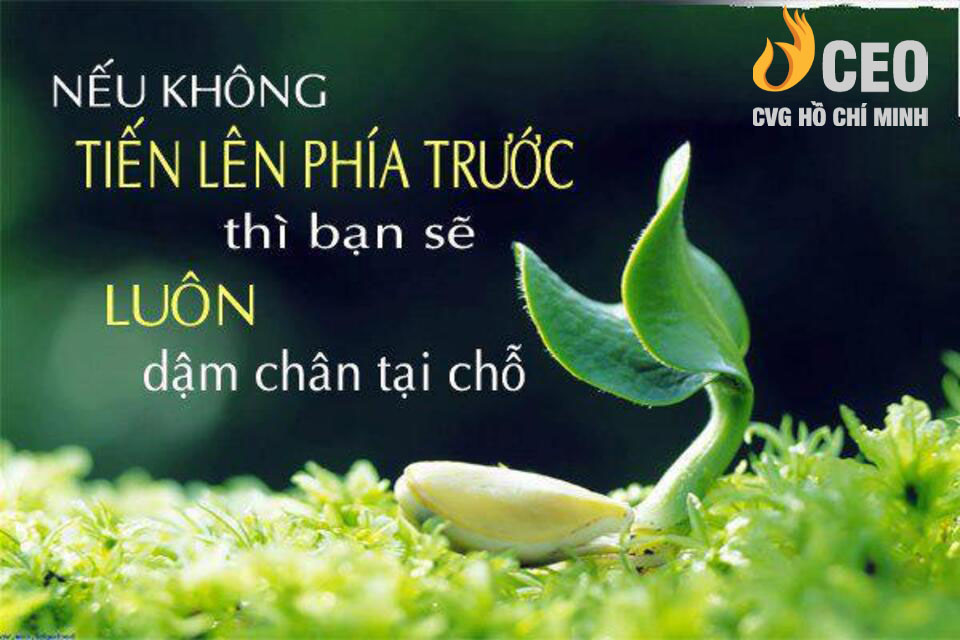 hình ảnh lời Phật dạy về cuộc sống 0097