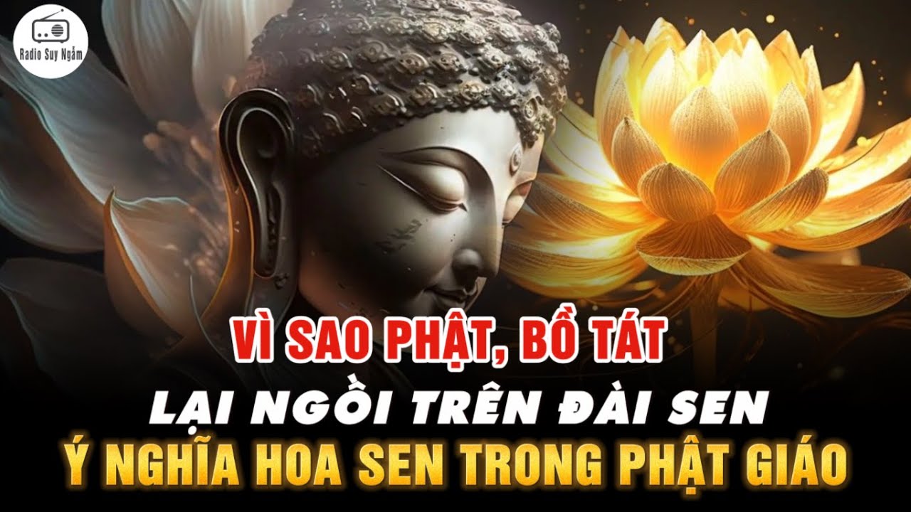 hình ảnh phật ngồi trên đài sen 0010