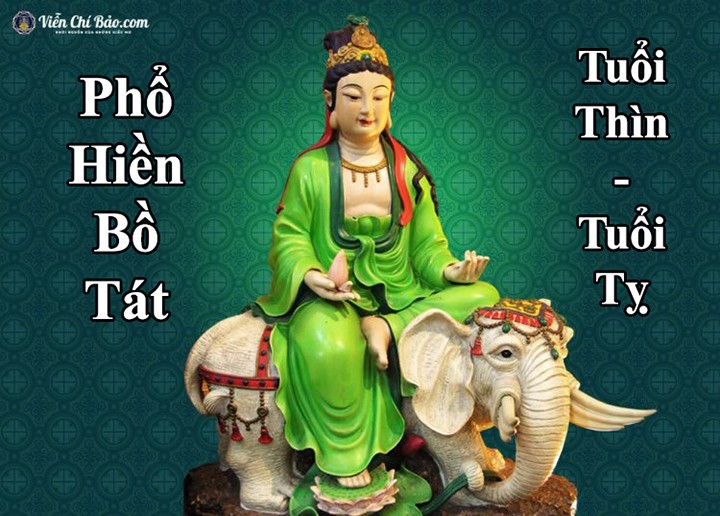 hình ảnh phật phổ hiền bồ tát 0066