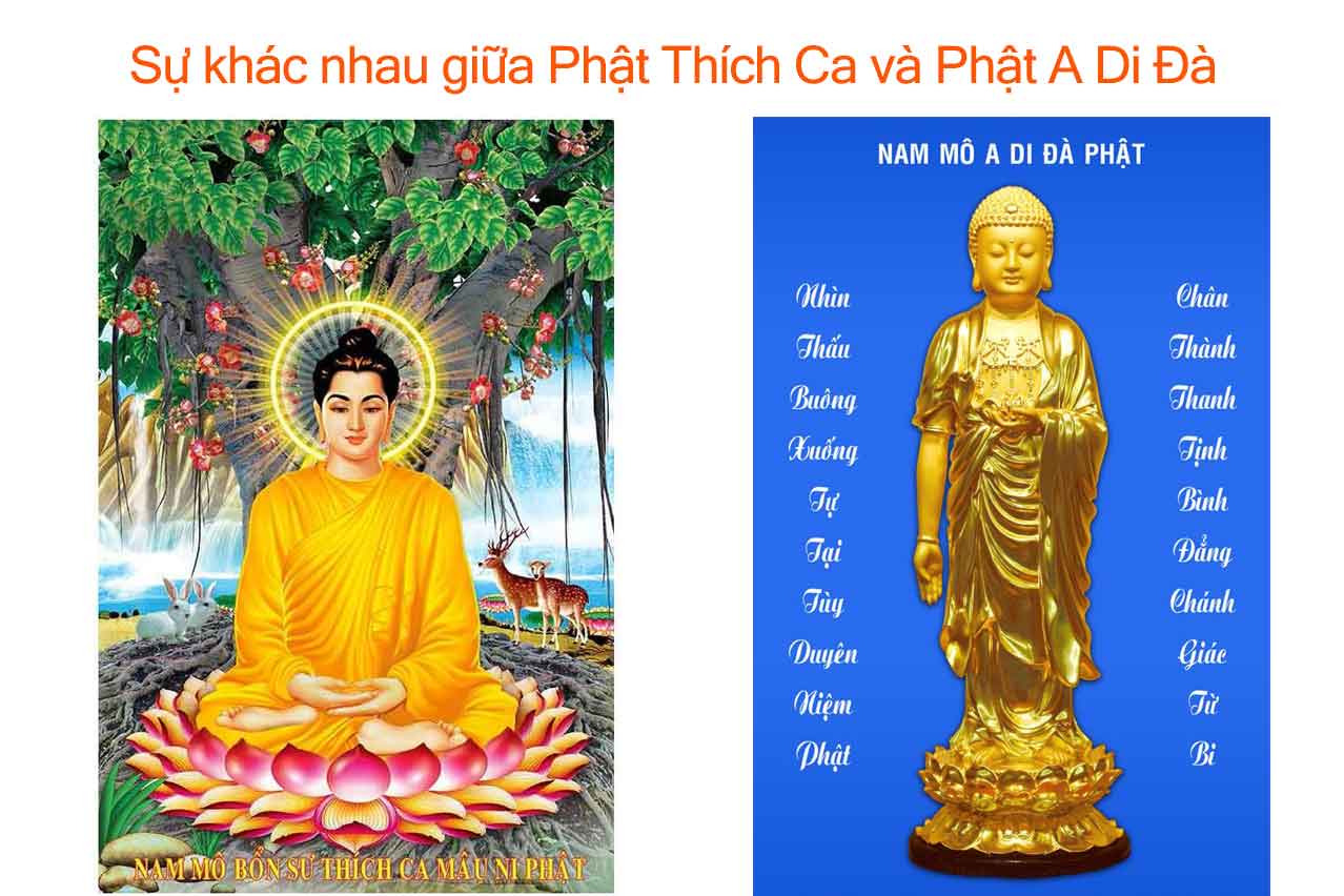 hình ảnh phật thích ca và phật a di đà 0030