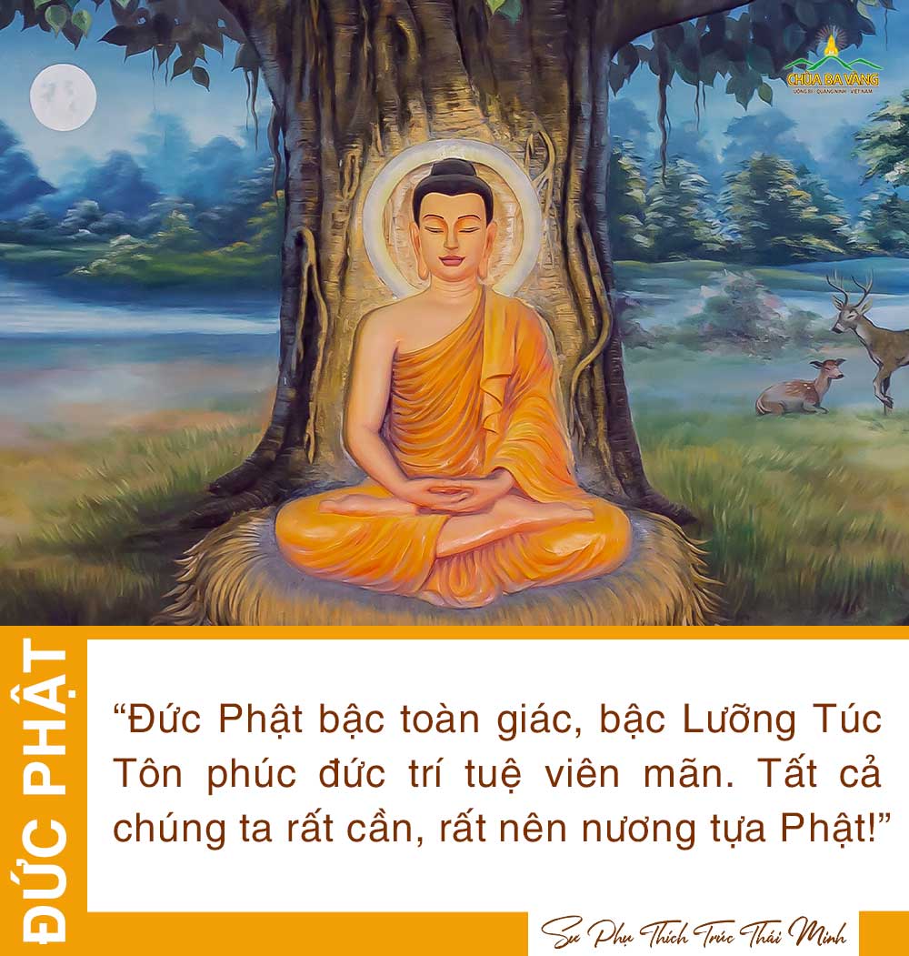 hình ảnh Tam Bảo Phật 0033